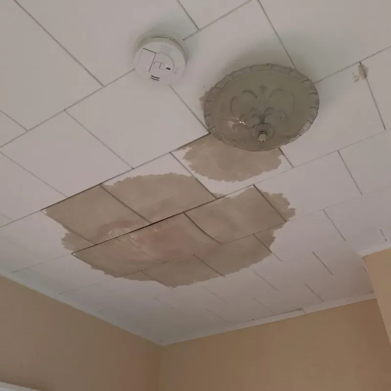 Ceiling Water Damage Repair in Little Rock, MN