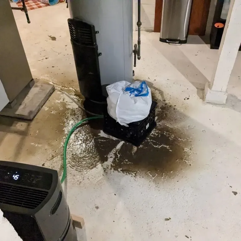 Sewage Backup Cleanup Service in Little Rock, MN
